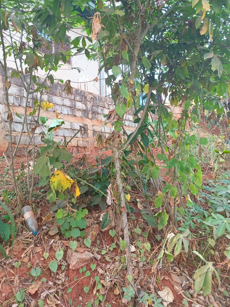 Land For sale in Yaoundé