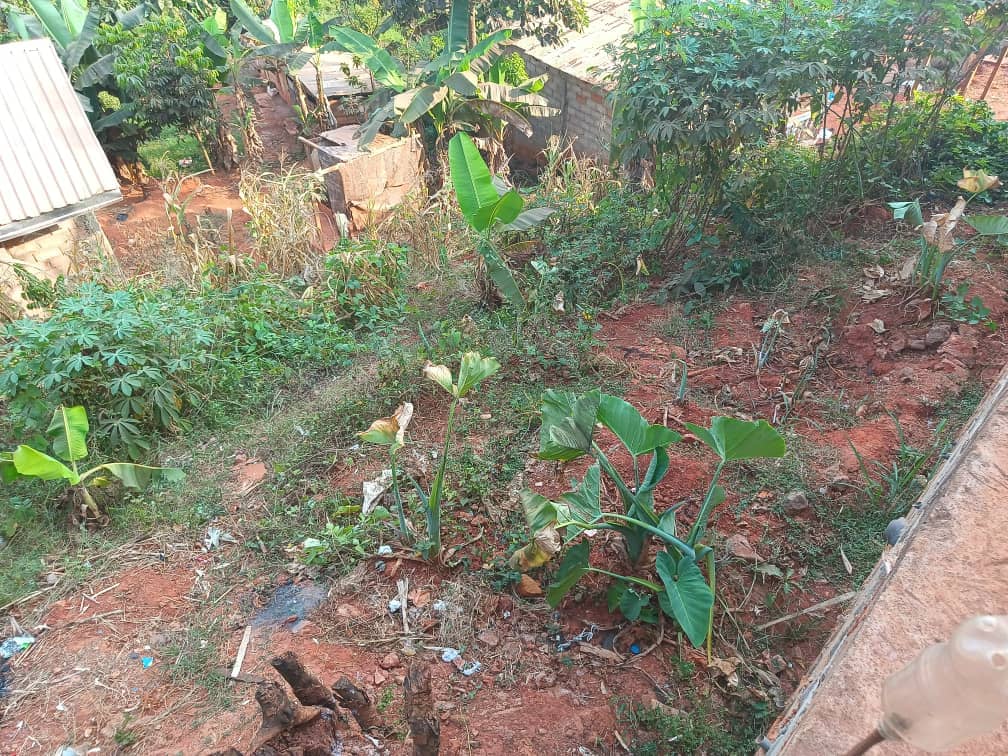 Land For sale in Yaoundé — photo 2