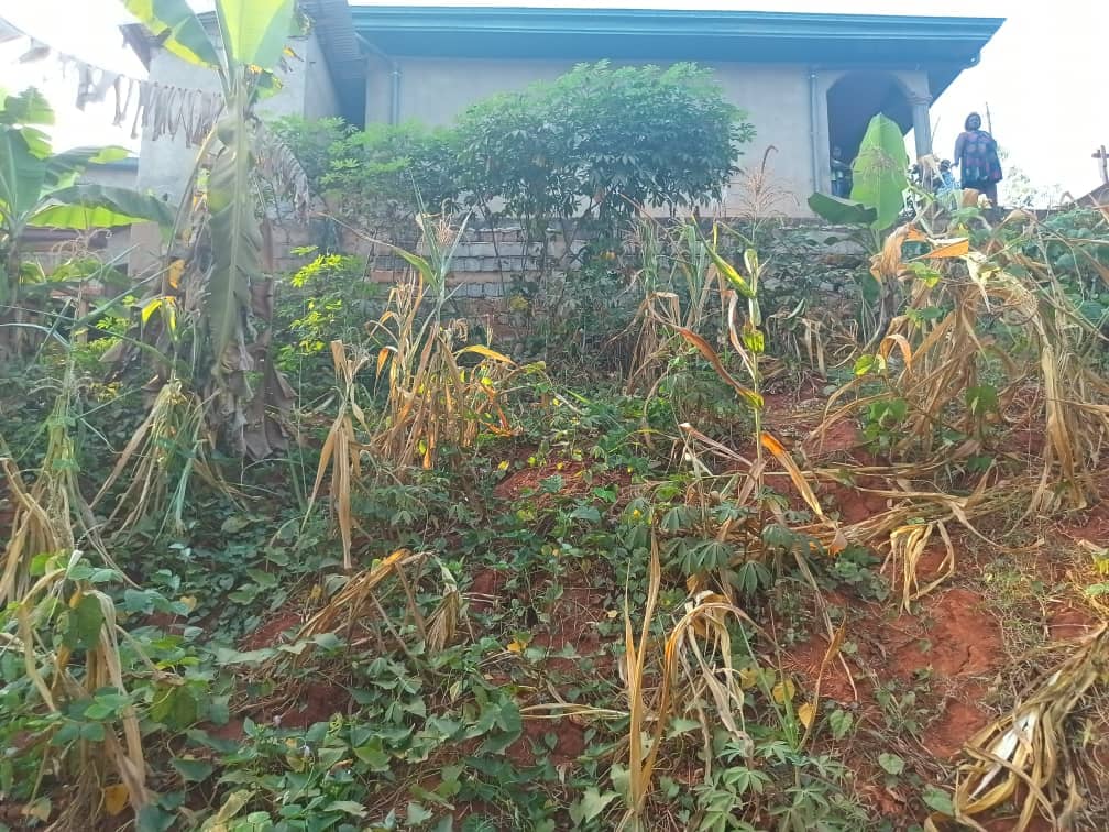 Land For sale in Yaoundé — photo 3