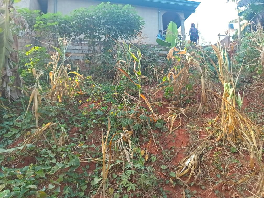 Land For sale in Yaoundé — photo 6