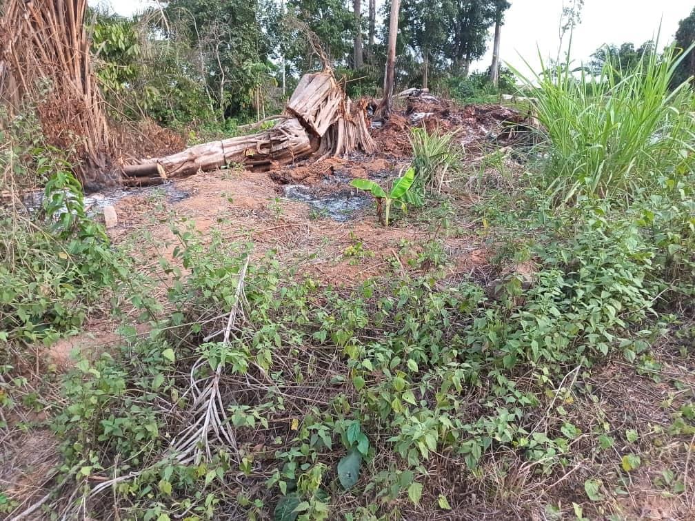 Plot area available 300m2