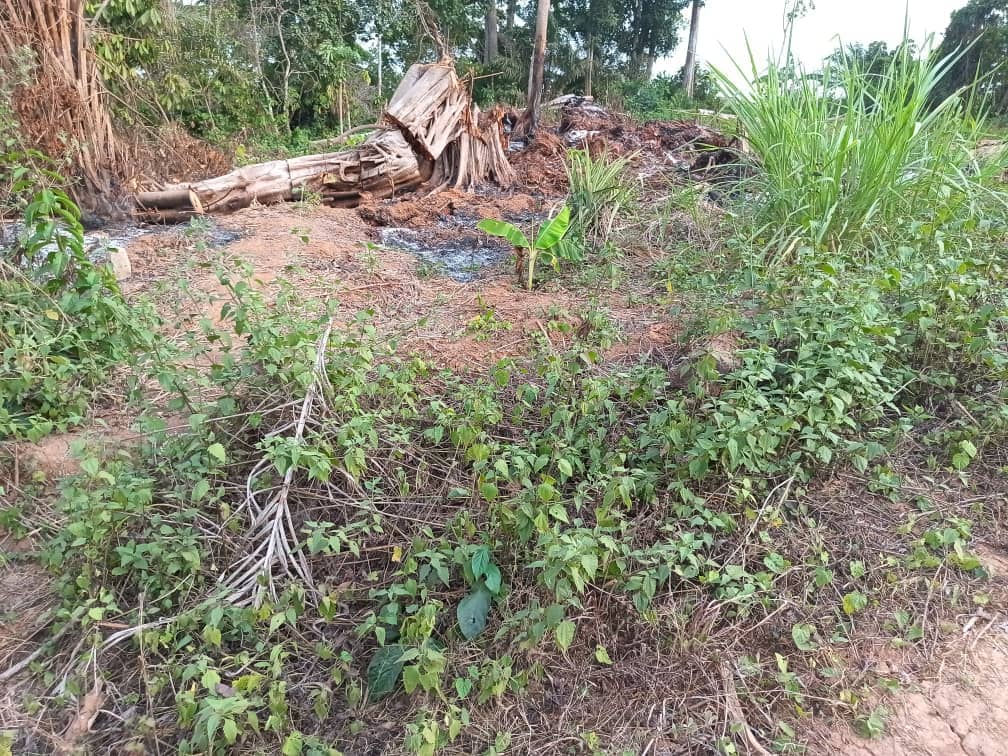 Plot area available 300m2 — photo 2