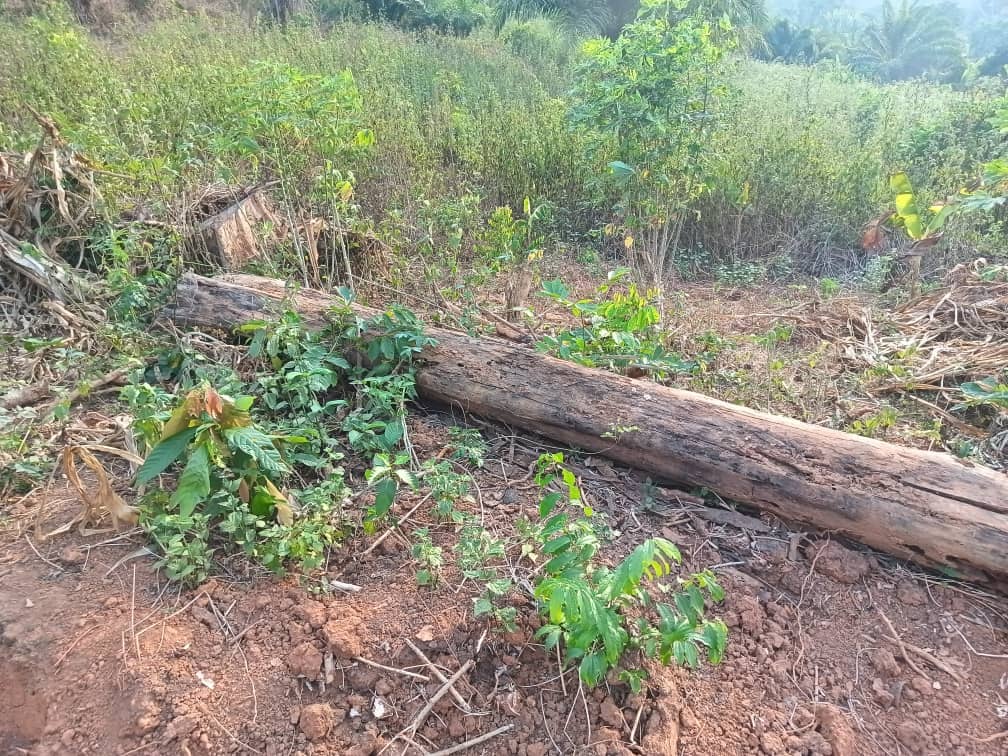 Residential land available 250m2