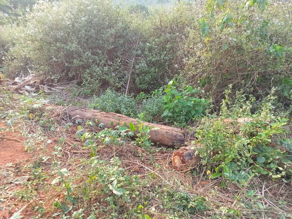 Residential land available 250m2 — photo 2