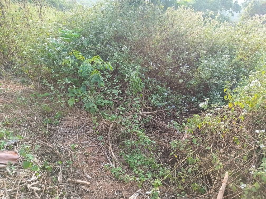 Residential land available 250m2 — photo 3