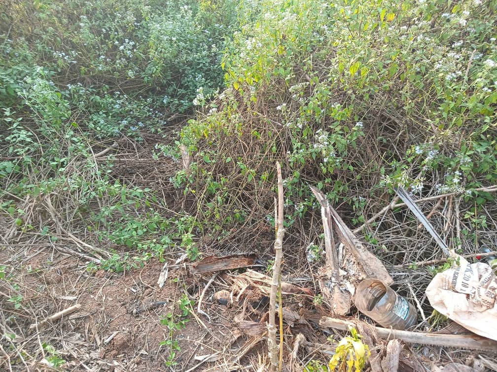 Residential land available 250m2 — photo 5