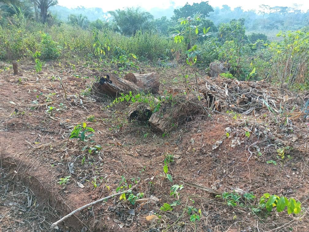 Residential land available 250m2 — photo 6