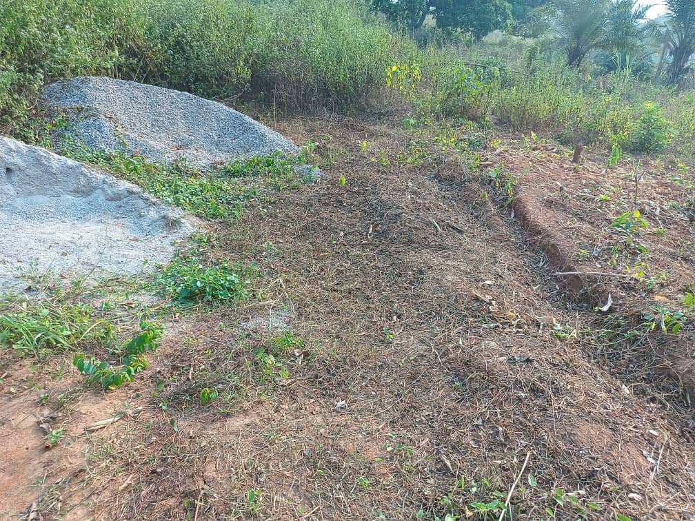Residential land available 250m2 — photo 7