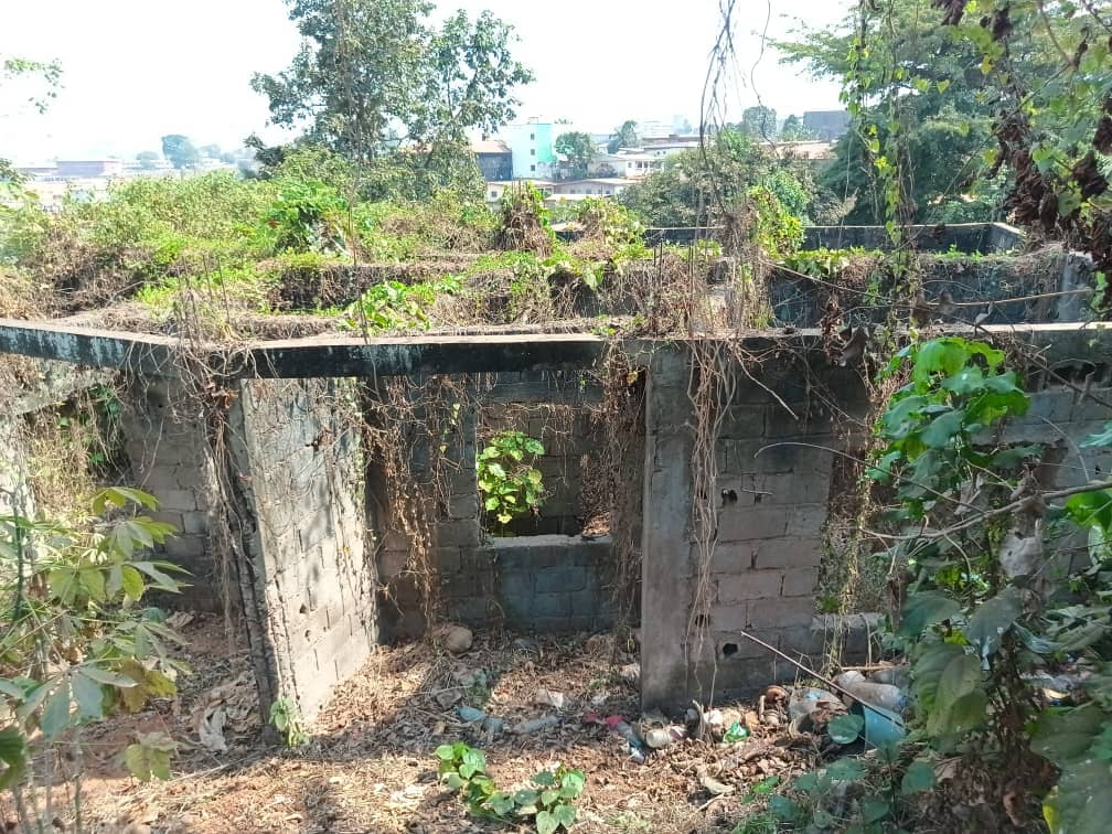 Plot Area and an uncompleted building with a hospital plan
