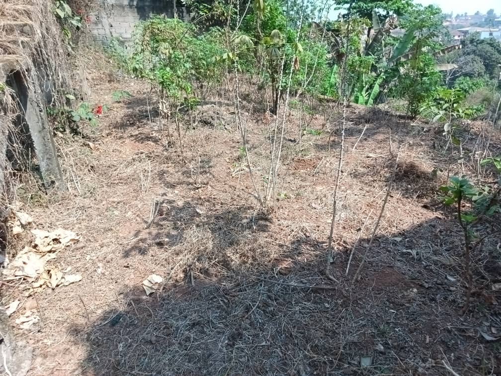 Plot Area and an uncompleted building with a hospital plan — photo 7