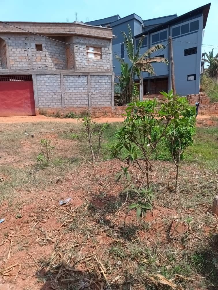 Plot area with a two room house 500m2 standing  — photo 2
