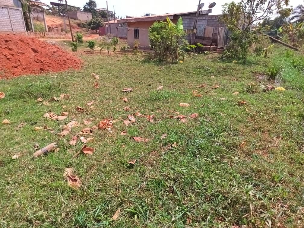 Plot area with a two room house 500m2 standing  — photo 5