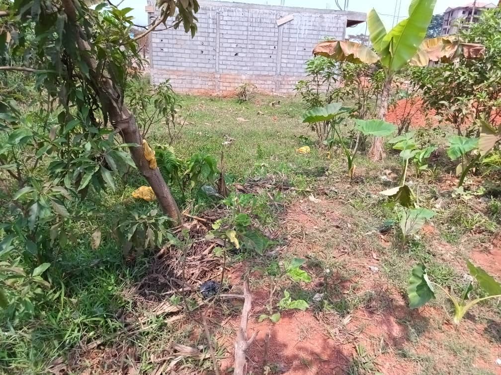 Plot area with a two room house 500m2 standing  — photo 6