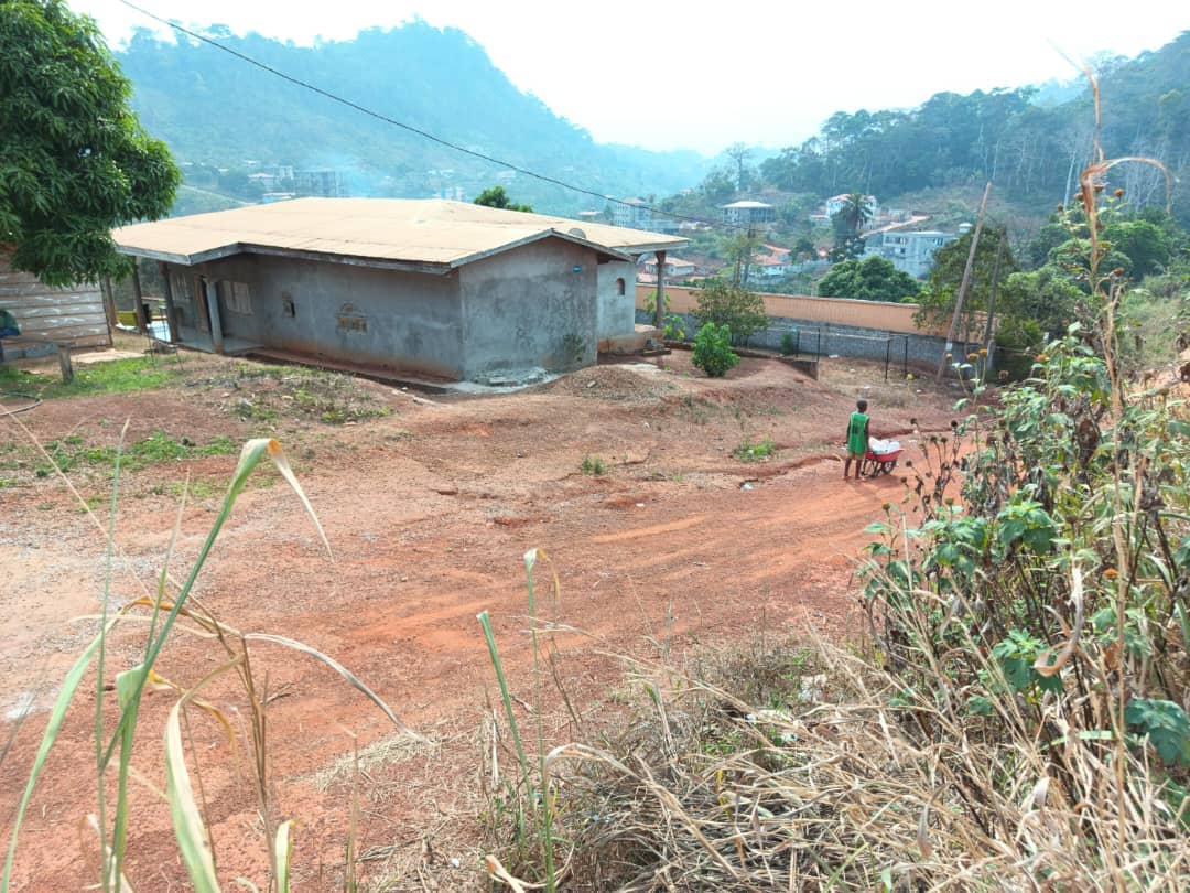 House and plot standing, 800m2
