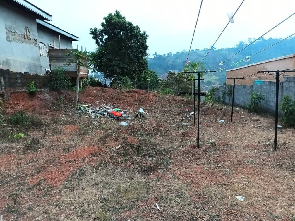 House and plot standing, 800m2 — photo 2
