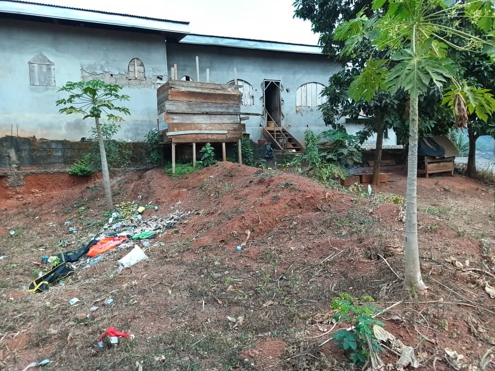 House and plot standing, 800m2 — photo 3