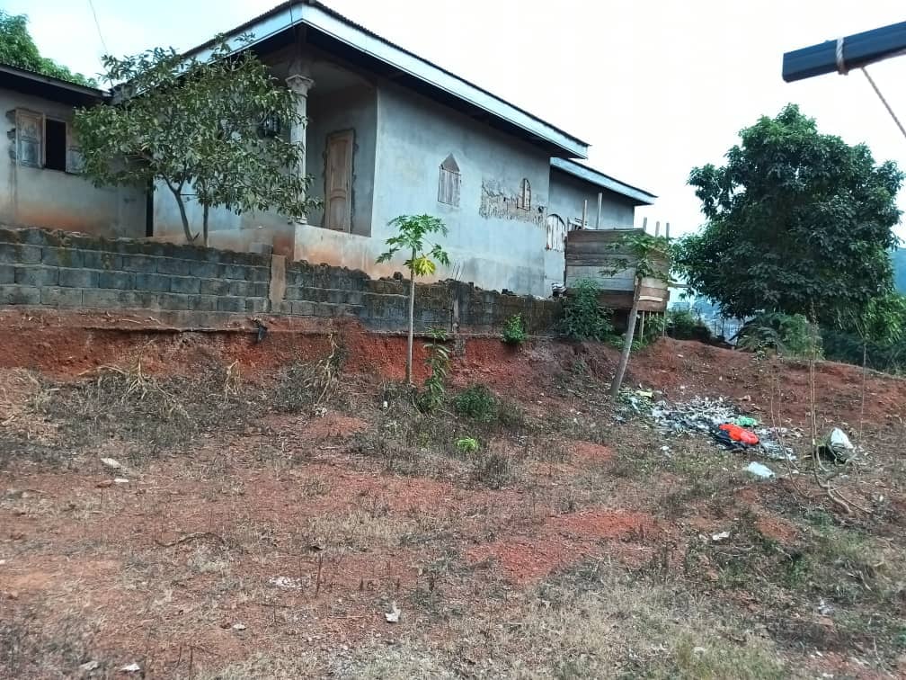 House and plot standing, 800m2 — photo 5