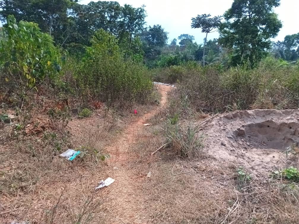 300m2 Residential plot area available  — photo 5