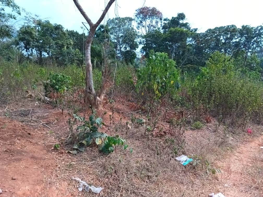 300m2 Residential plot area available  — photo 6