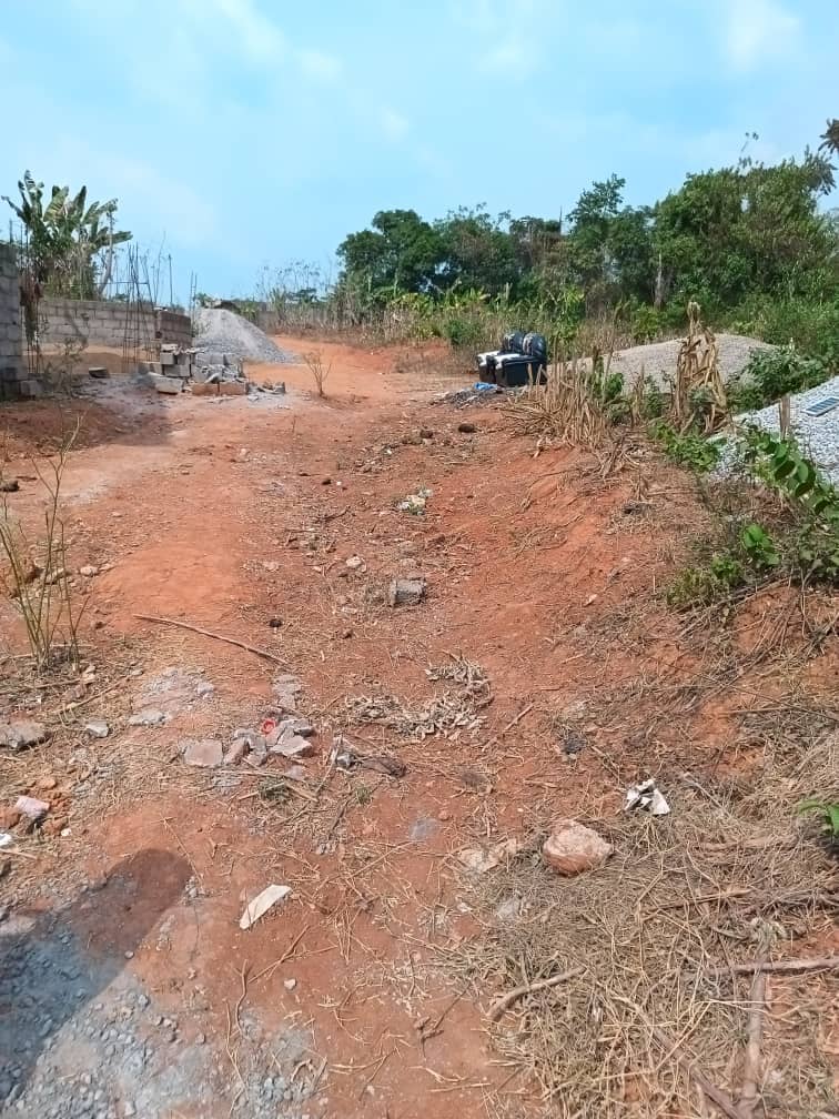 300m2 Residential plot area available  — photo 7
