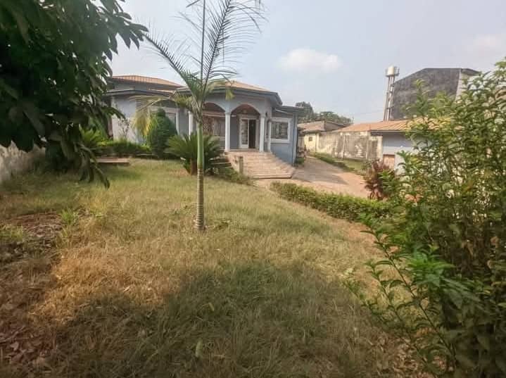 Grande villa à louer odza