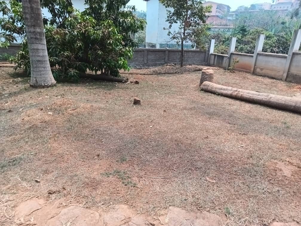 Land for sale — photo 2