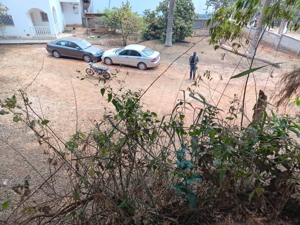 Land for sale — photo 3