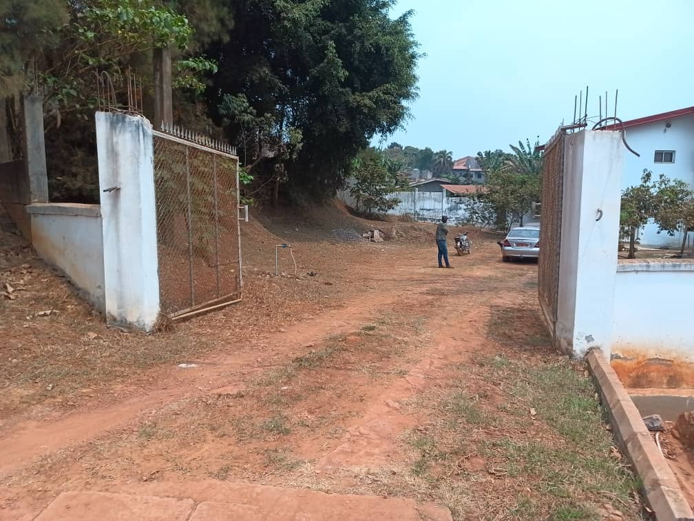 Land for sale