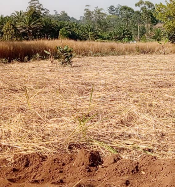 LAND FOR SALE 