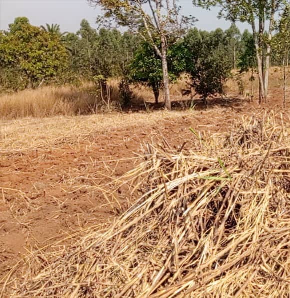 LAND FOR SALE  — photo 2