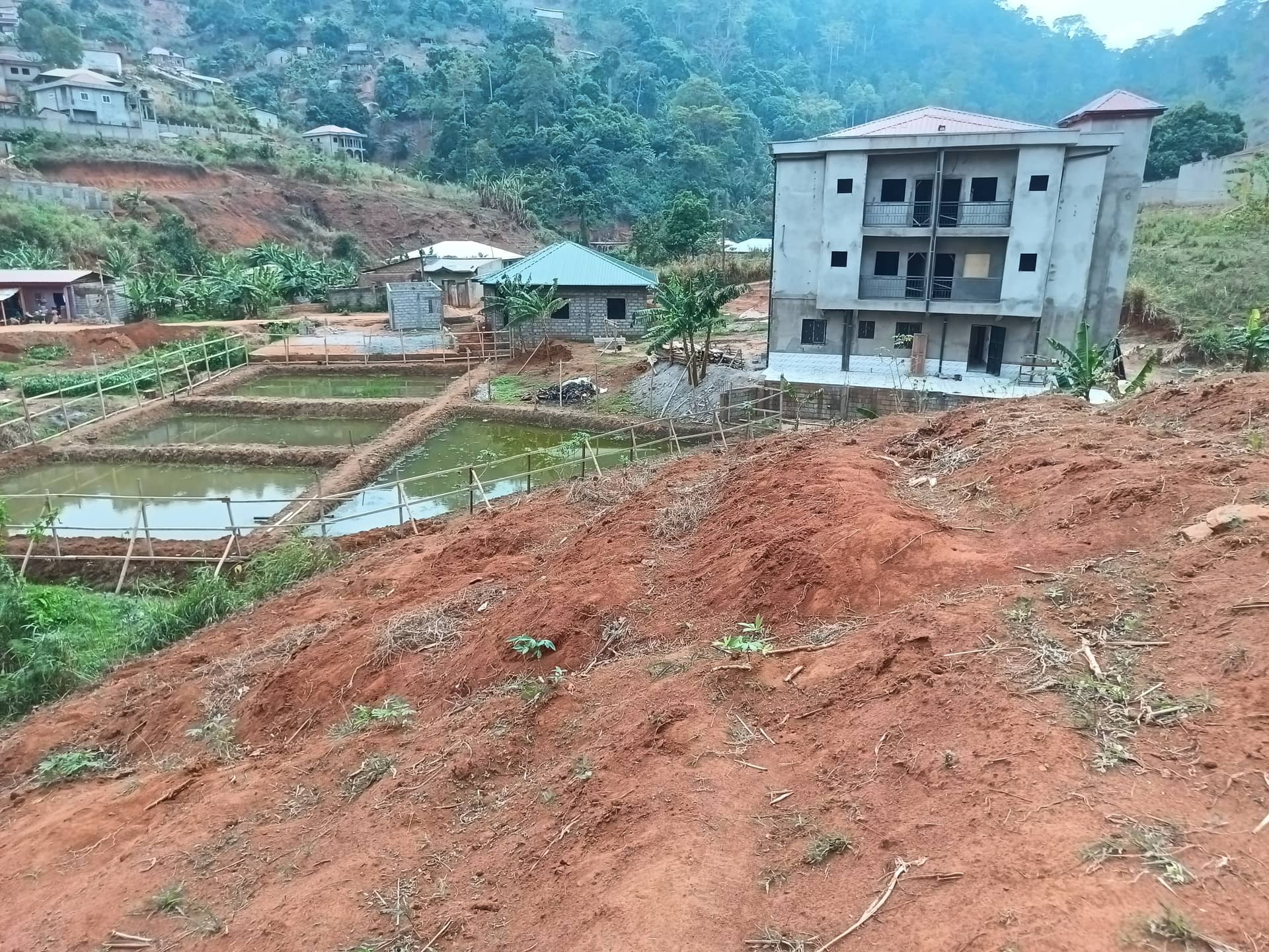 plot for sell — photo 2