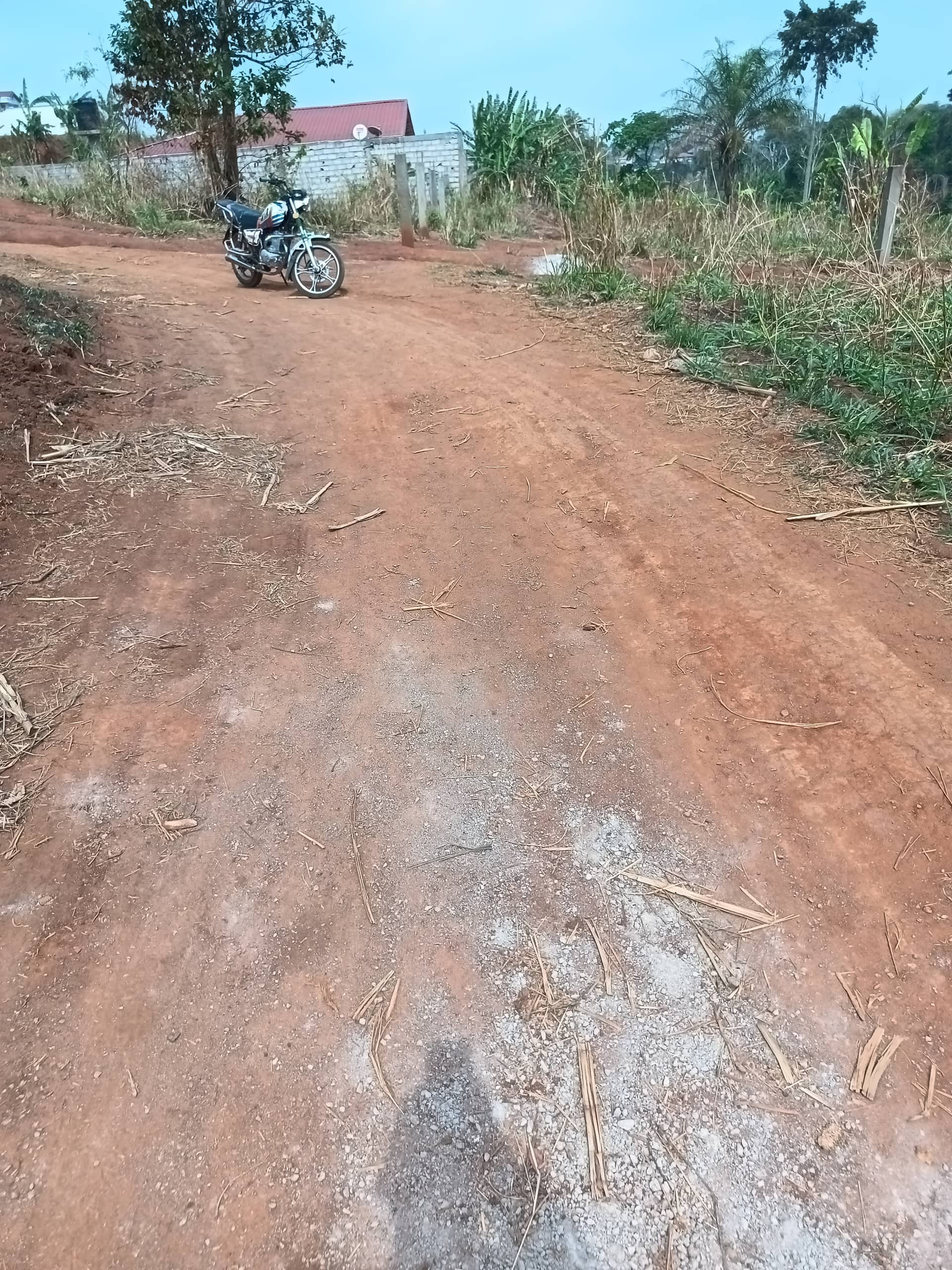 plot for sell — photo 3