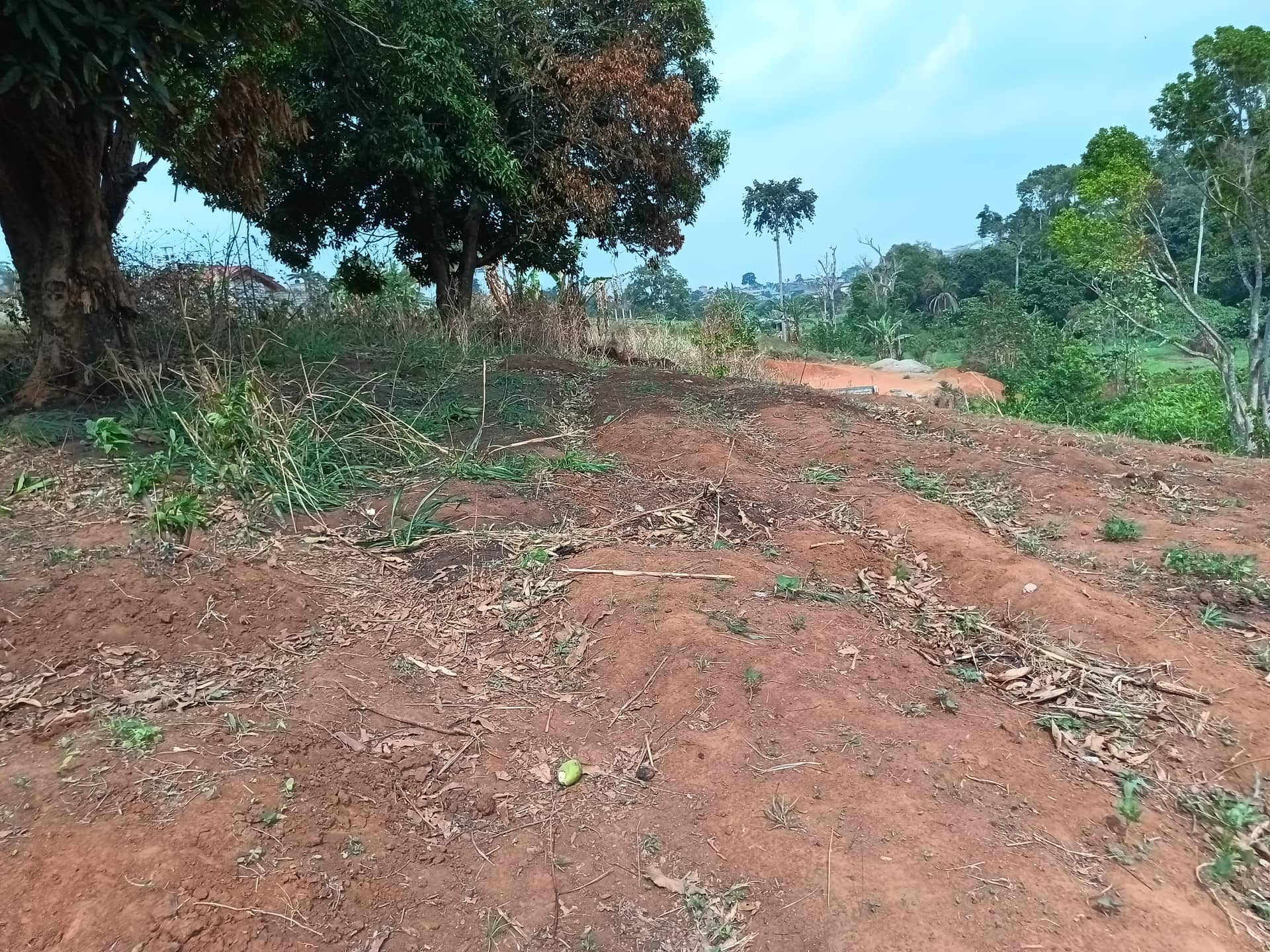plot for sell — photo 4