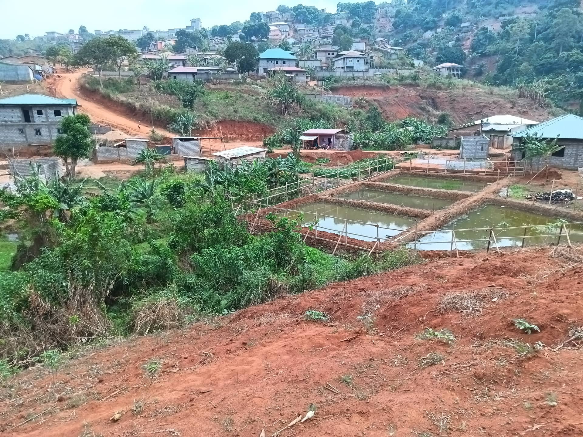 plot for sell — photo 5
