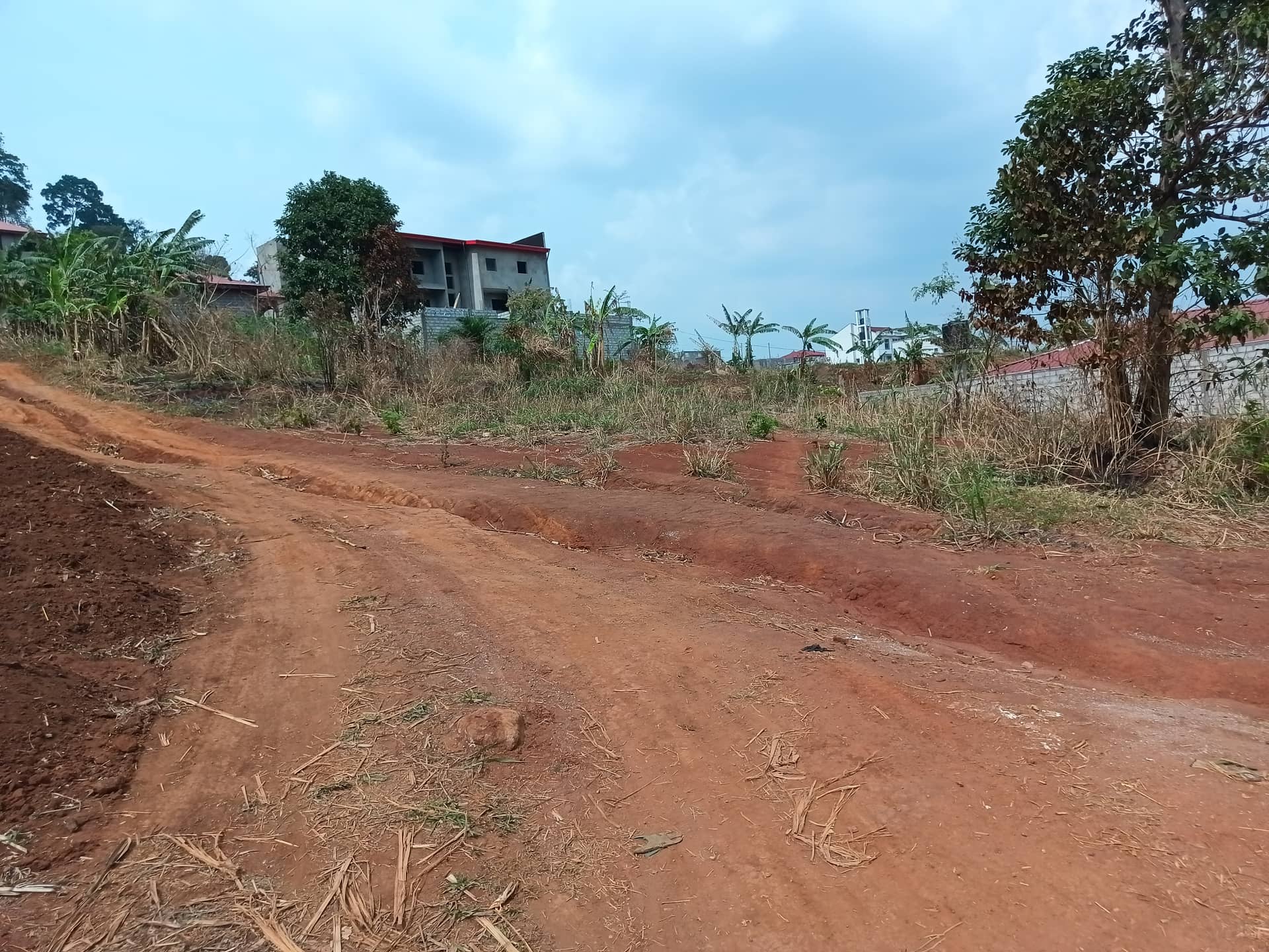 plot for sell — photo 6