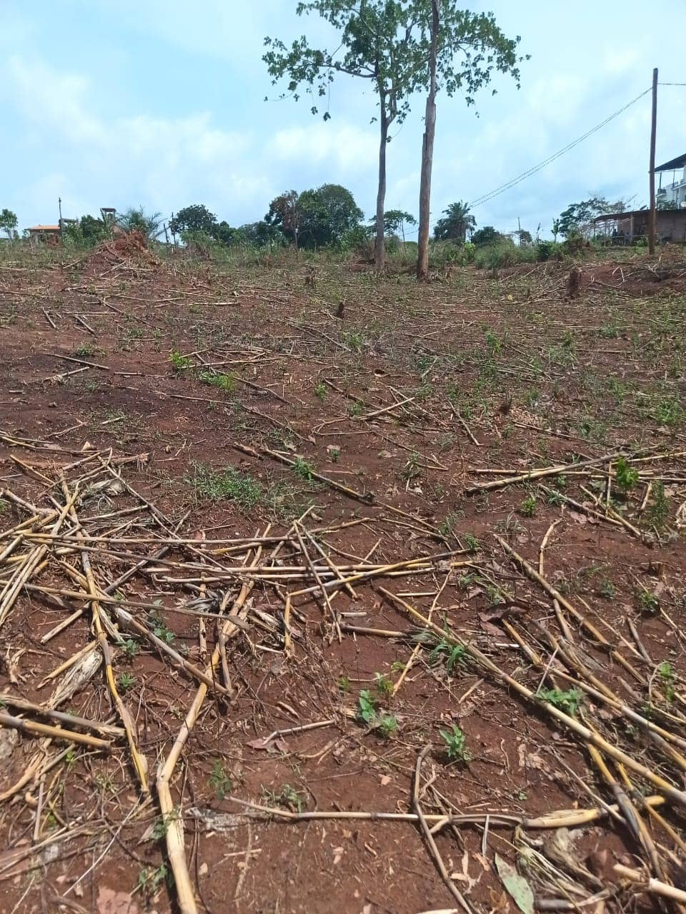 Plot area 1000m2 standing — photo 3