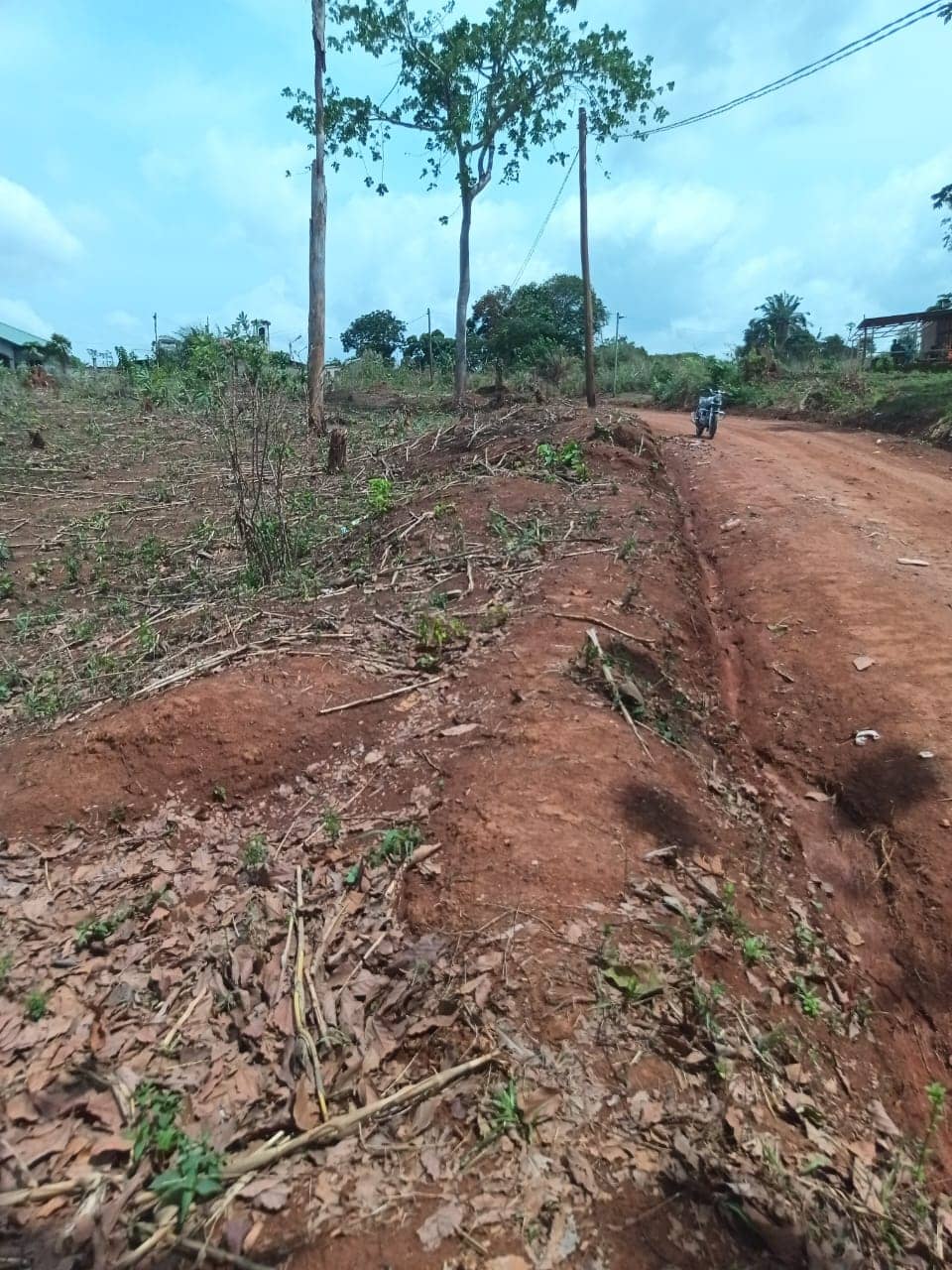 Plot area 1000m2 standing — photo 4