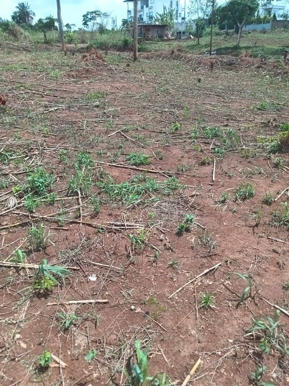 Plot area 1000m2 standing — photo 5
