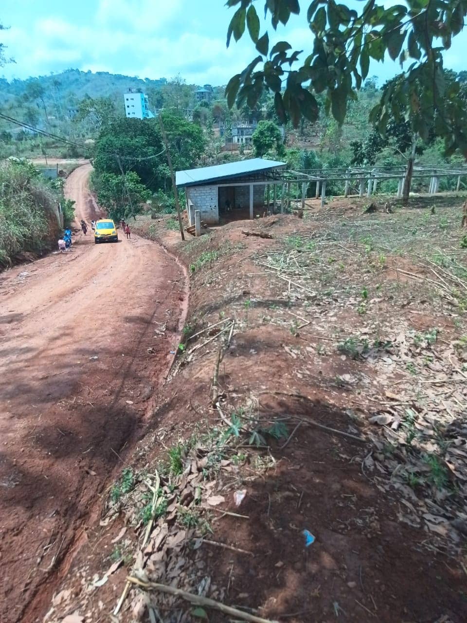 Plot area 1000m2 standing