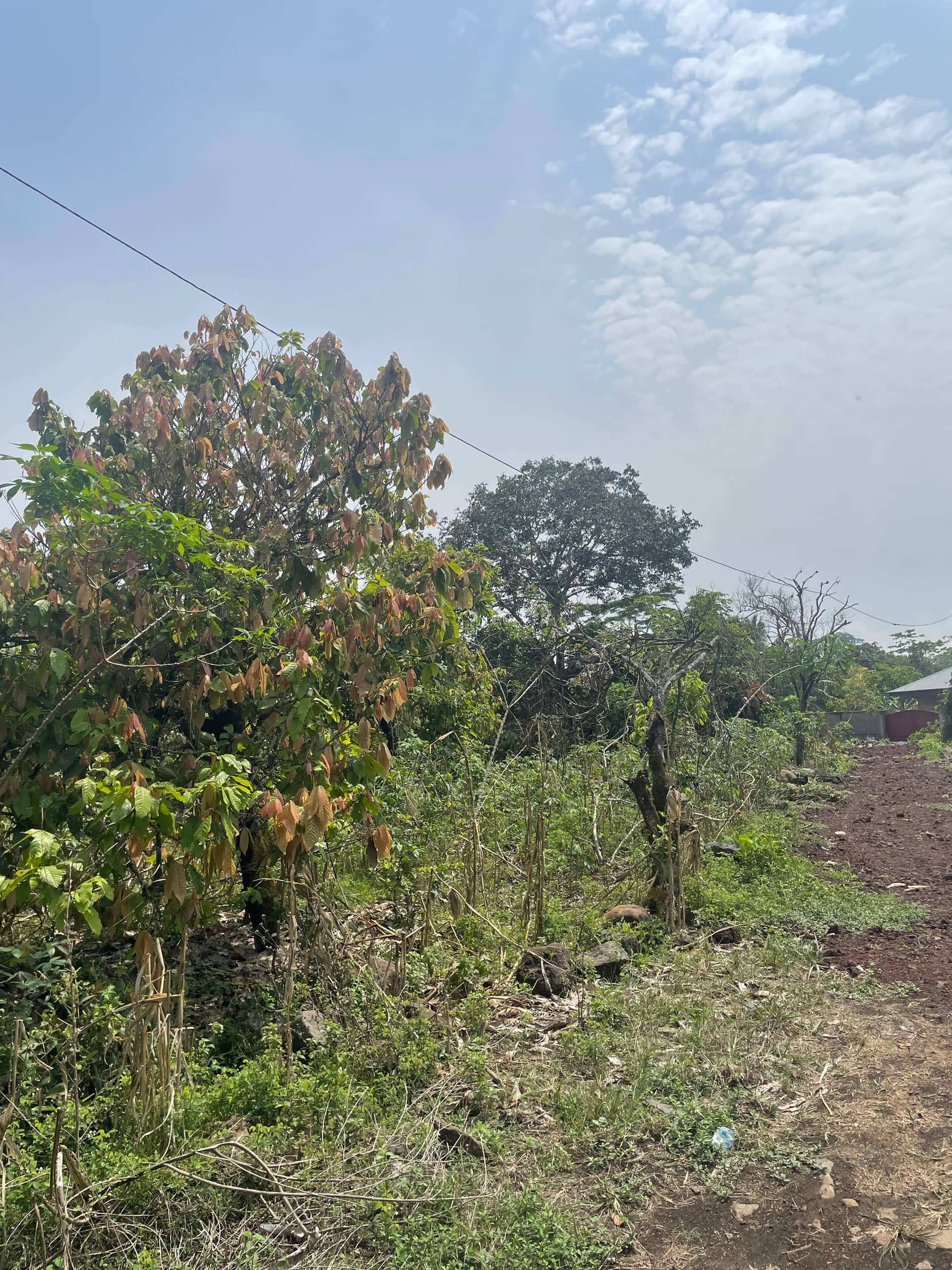 Prime land for sale  — photo 2