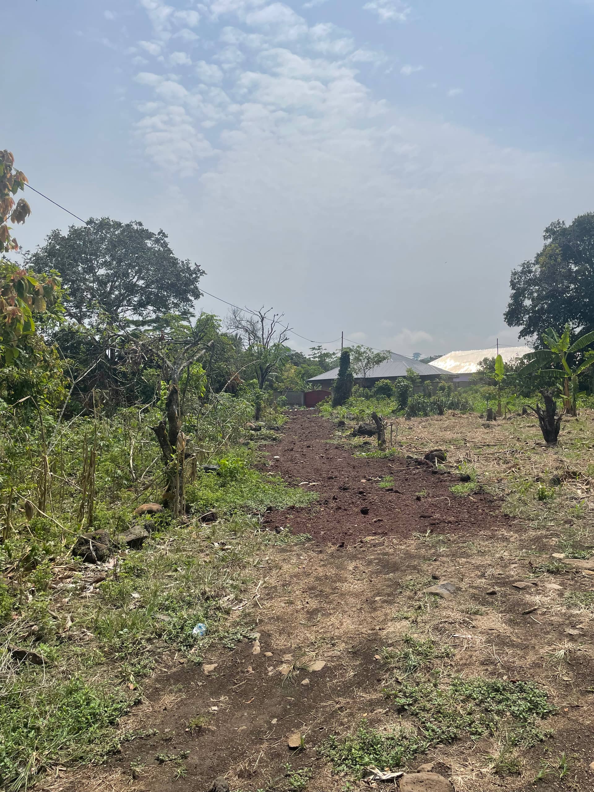 Prime land for sale  — photo 3