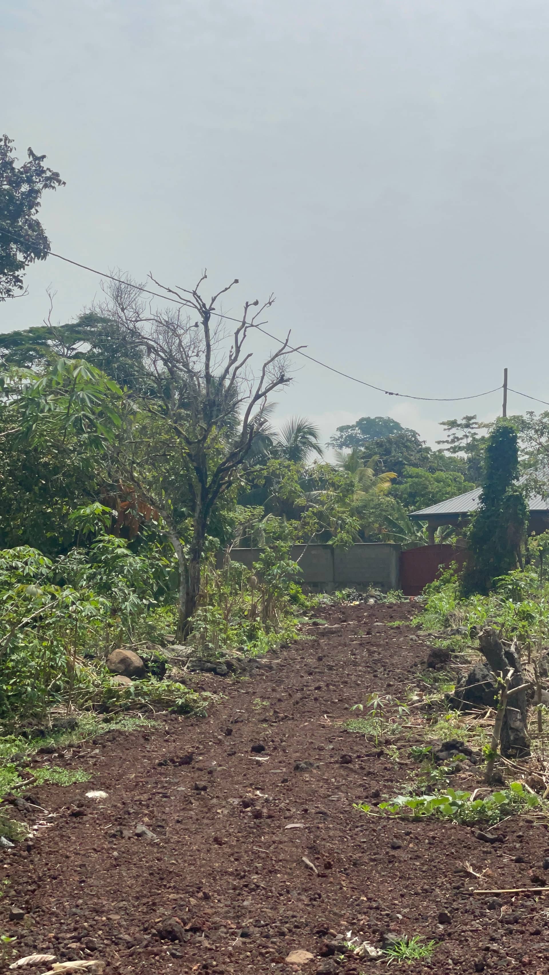 Prime land for sale  — photo 4