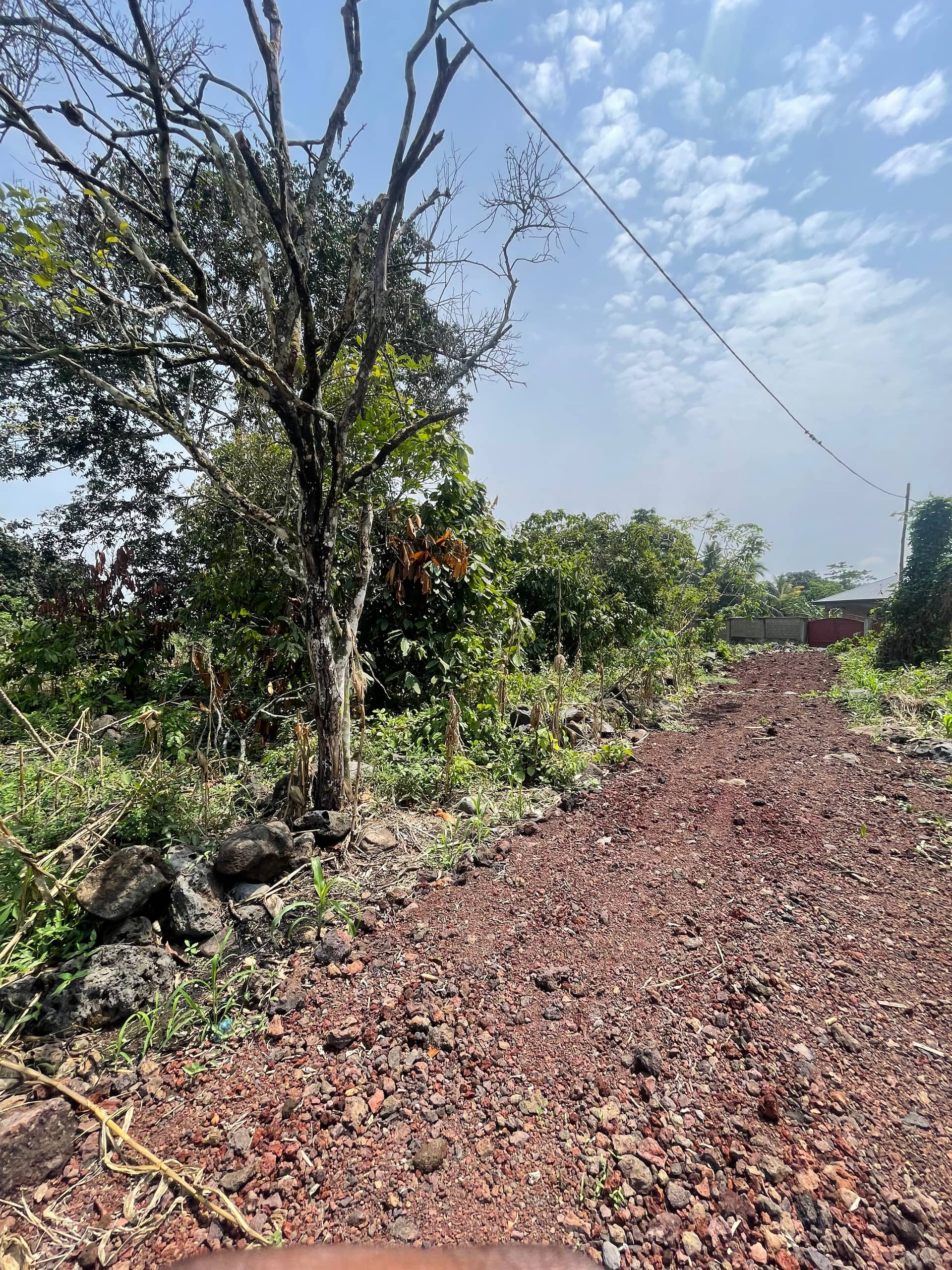 Prime land for sale  — photo 5