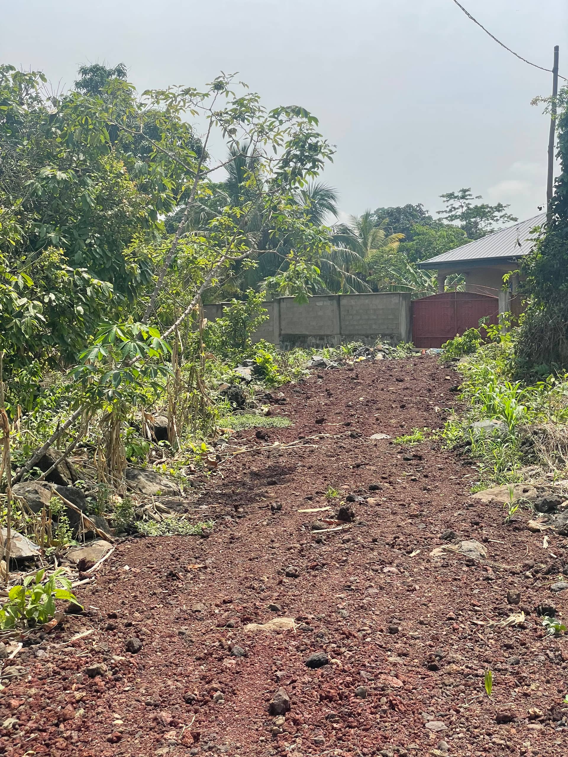Prime land for sale  — photo 6