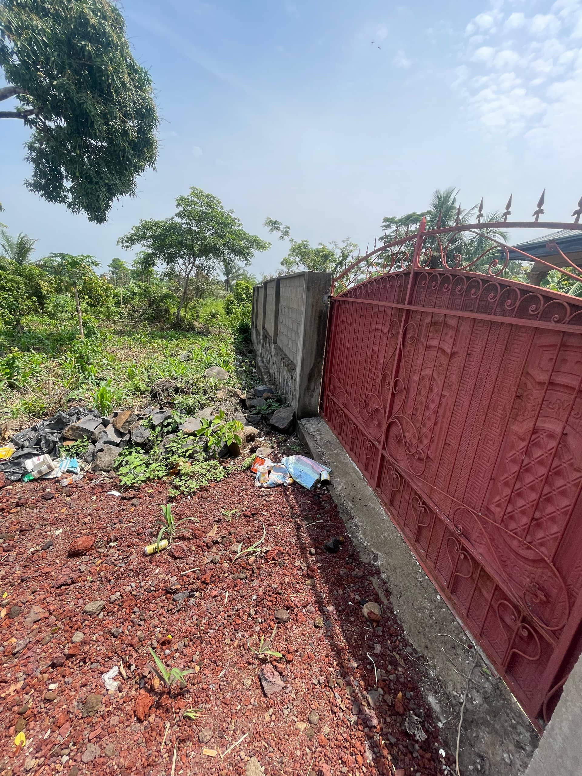 Prime land for sale  — photo 7