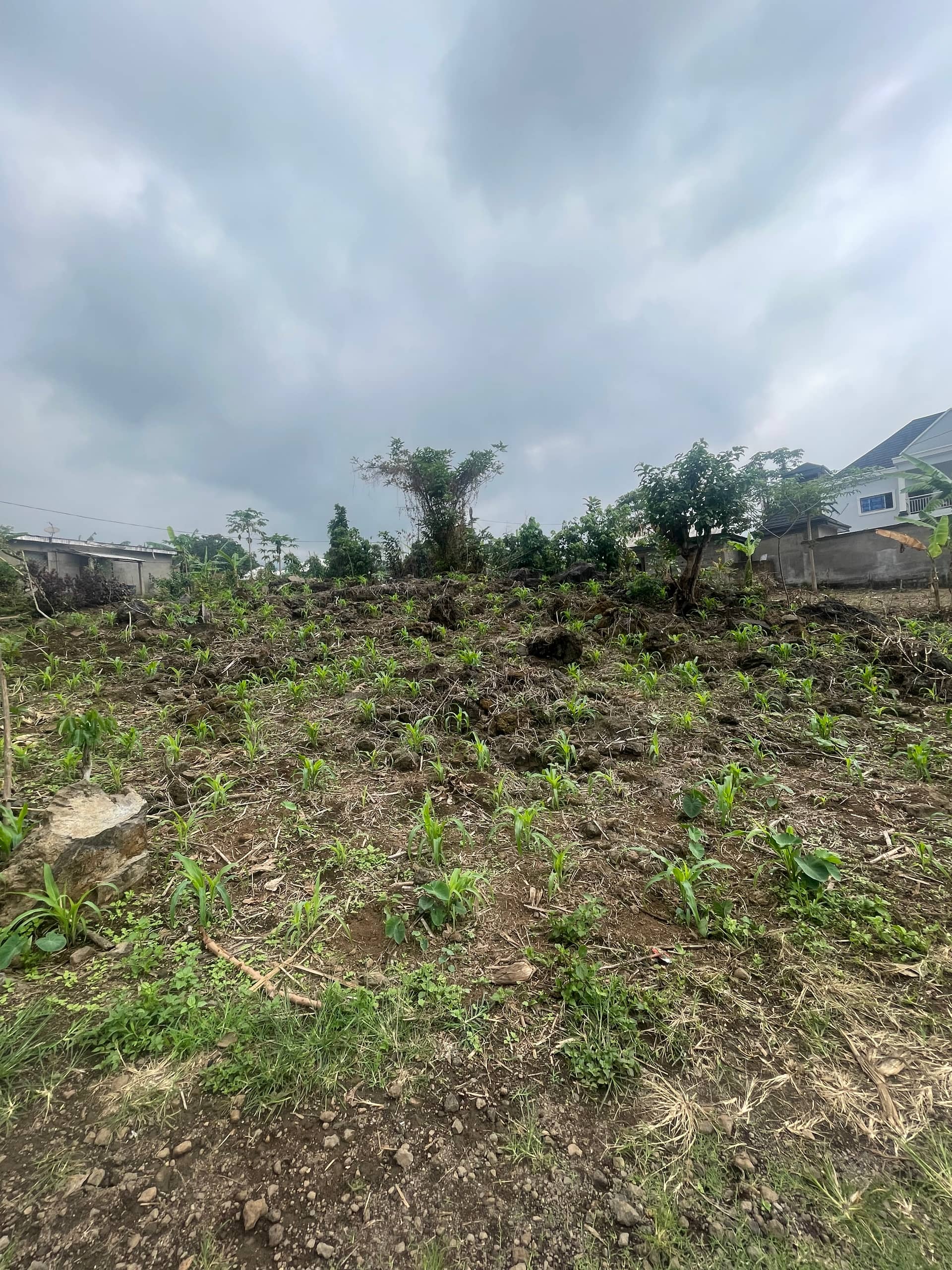 Strategic Property for sale  — photo 3