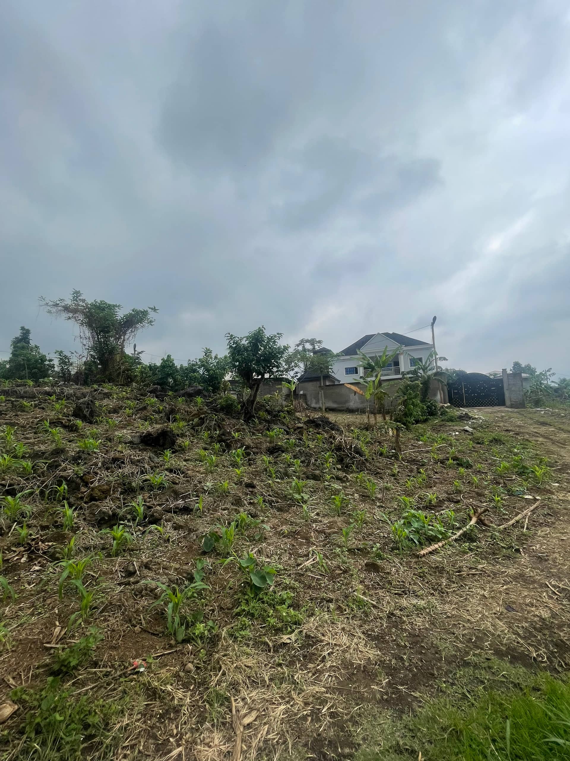 Strategic Property for sale  — photo 7