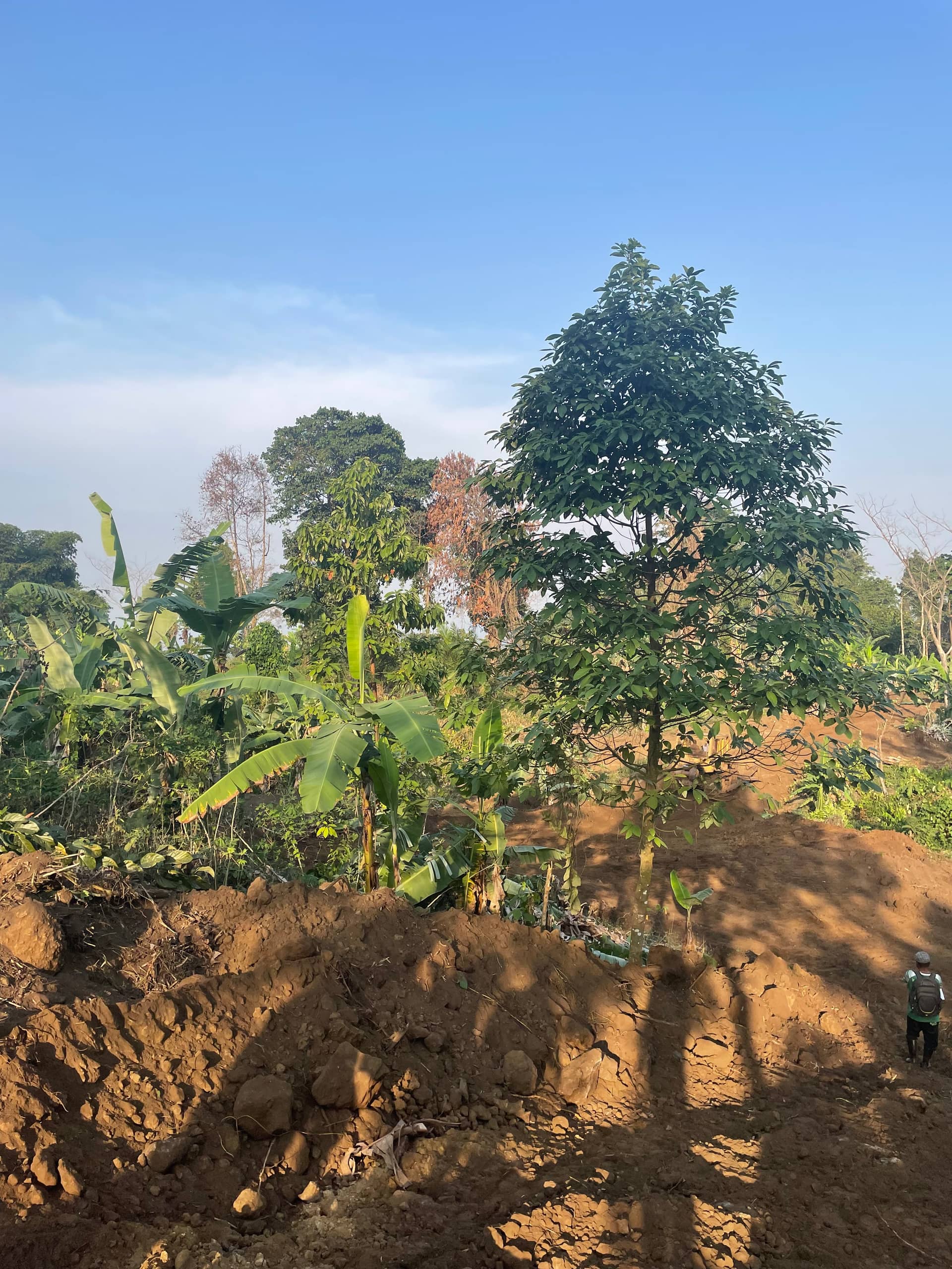 Cheap Land for sale  — photo 4