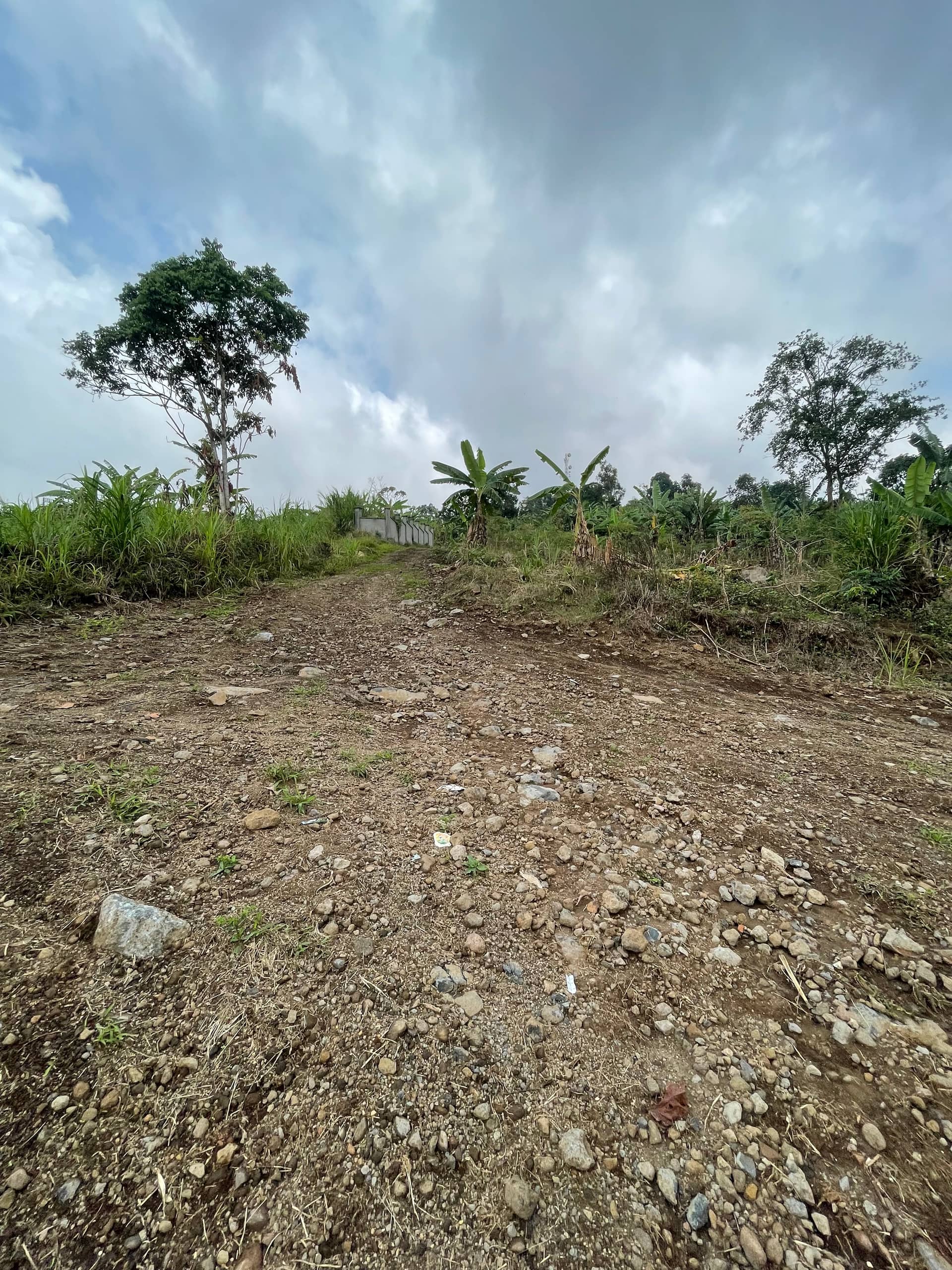 Prime land for sale at CAMSIC  — photo 6