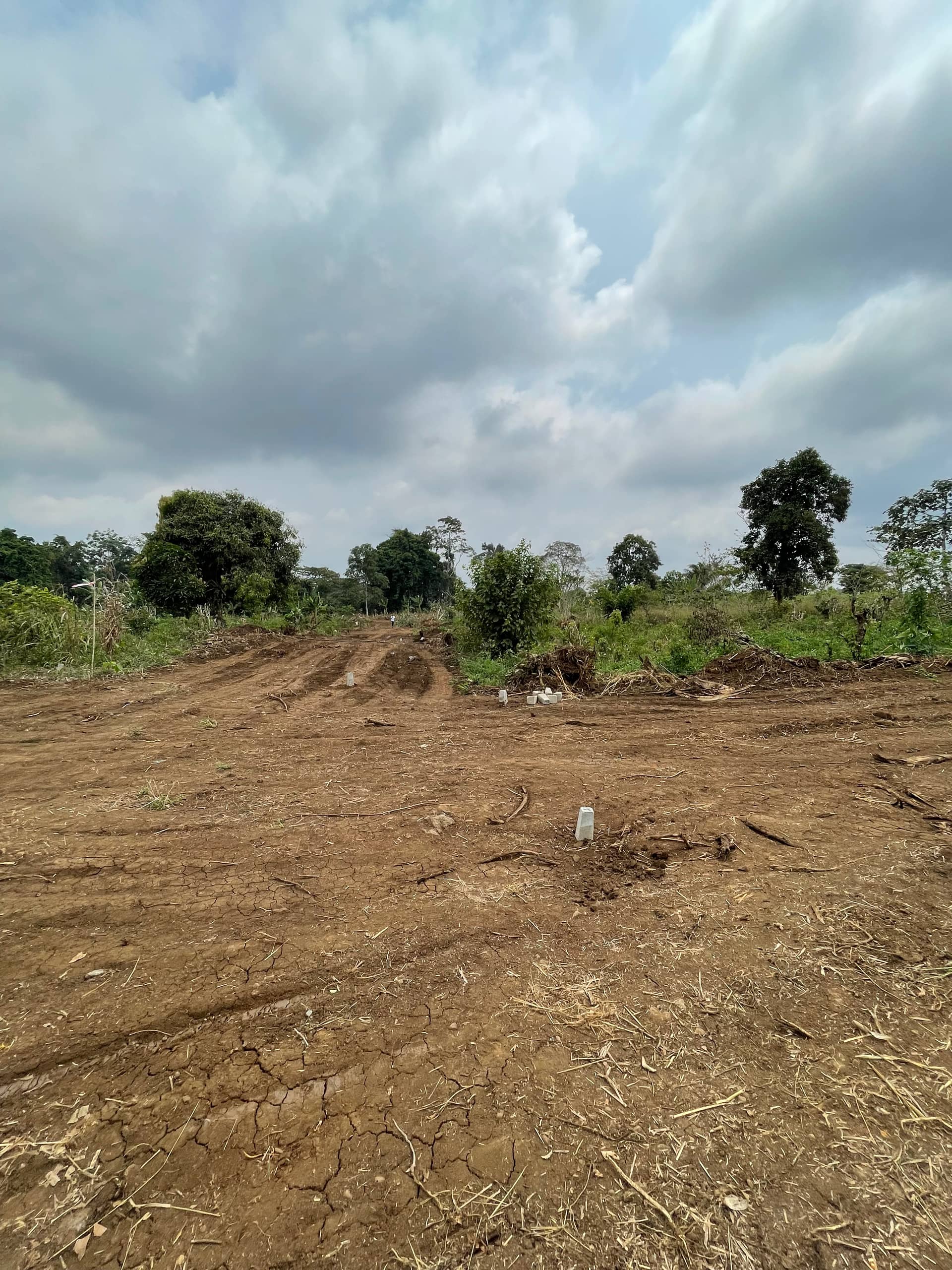 Land for sale at Sandpit Wojonku  — photo 2